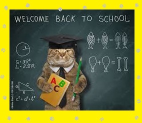 Are House Cats Turning into Chatty Geniuses? Experts Stunned by Rapid Feline Brain Evolution