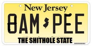 Analilia Mejia and NJ-11: New Jersey Voters Begging to Become America’s All-Time #1 Shit Hole State