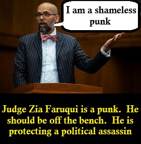 JUDGE ZIA FARUQUI – THE JUDICIAL LEFTIST PUNK PROTECTING AN ASSASSIN