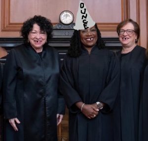 The DUMB BROADS of the High Court.  The Three Dumbest Women in the History of Justice:  Kagan, Katenji and Sotomayor